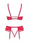 bn6696_rose_set_red_8.jpg