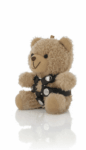 freepik__assistant__85486.jpeg
